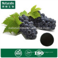 100% Pure Black Currant Extract Powder